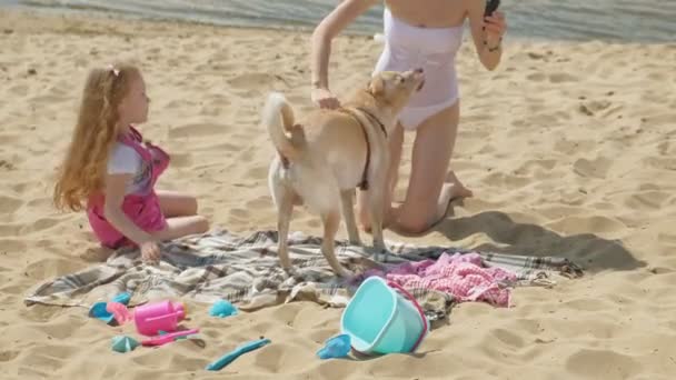 Mamma e figlia sulla riva del fiume mangiano il gelato. Attività ricreative all'aperto — Video Stock