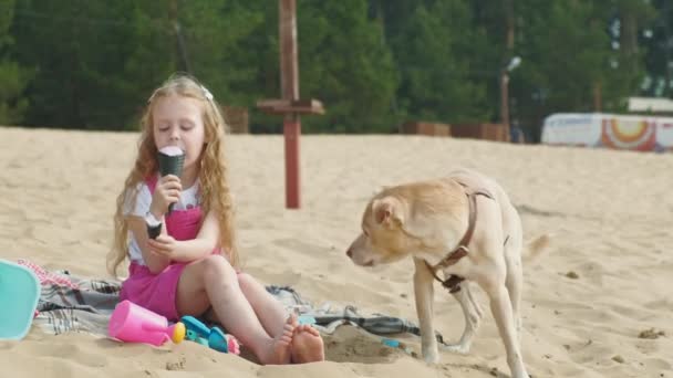 女の子はアイスクリームを食べ、屋外で犬を養います. — ストック動画