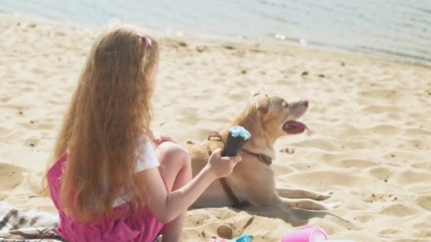 Mädchen isst Eis und füttert Hund im Freien. — Stockvideo