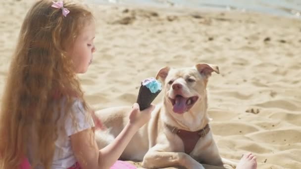 Menina come sorvete e alimenta o cão ao ar livre . — Vídeo de Stock