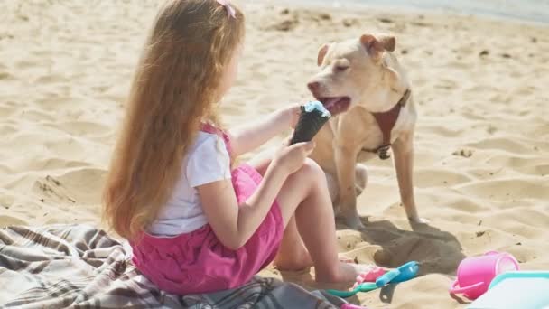Κορίτσι τρώει παγωτό και ταΐζει το σκυλί σε εξωτερικούς χώρους. — Αρχείο Βίντεο