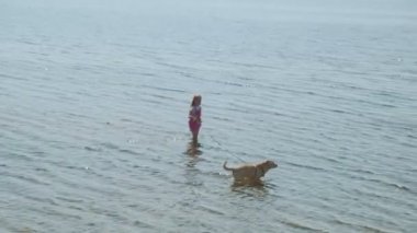 Küçük kız bir köpek ile nehir kıyısında sahilde yürüyor