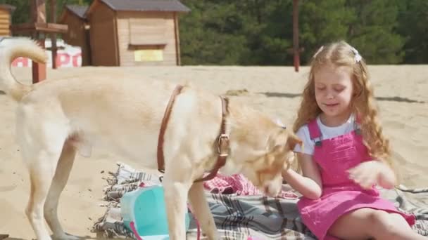 Meisje eet ijs en voedt de hond buitenshuis. — Stockvideo