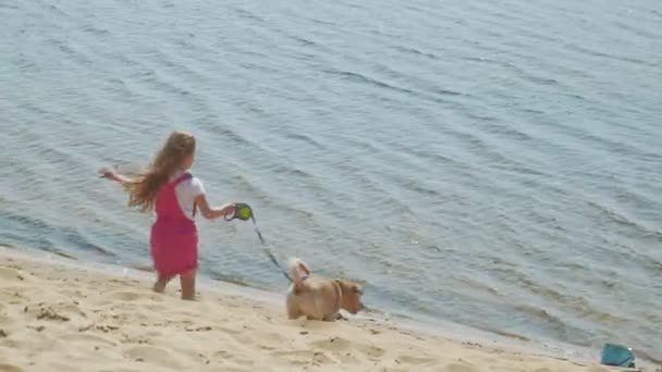 小さな女の子は犬と一緒に川の近くのビーチを歩く — ストック動画