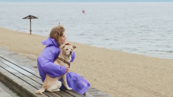Mujer joven con un perro en la playa junto al río — Vídeos de Stock