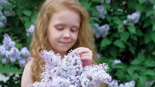 Una niña pequeña al aire libre en un parque o jardín sostiene flores lila. Arbustos lila en el fondo. Verano, parque — Vídeos de Stock