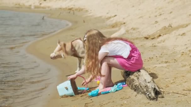 Kinder spielen an einem sonnigen Tag am Strand am Fluss — Stockvideo