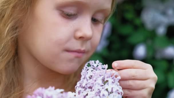 Una niña pequeña al aire libre en un parque o jardín sostiene flores lila. Arbustos lila en el fondo. Verano, parque — Vídeo de stock