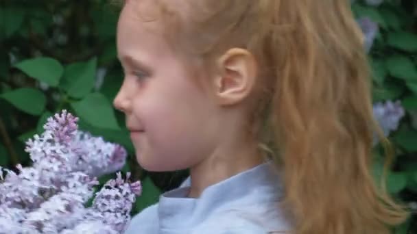 A little girl outdoors in a park or garden holds lilac flowers. Lilac bushes in the background. Summer, park — Stock Video