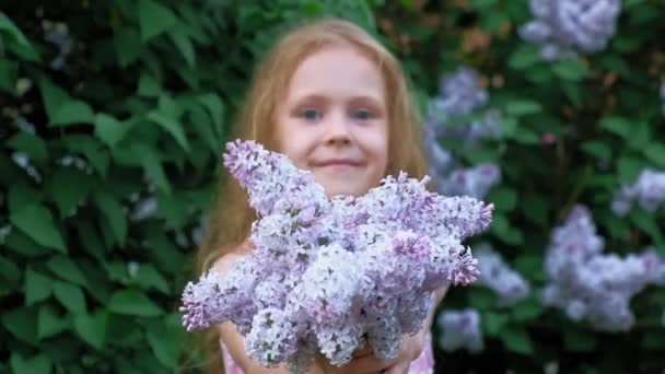 Una niña pequeña al aire libre en un parque o jardín sostiene flores lila. Arbustos lila en el fondo. Verano, parque — Vídeos de Stock