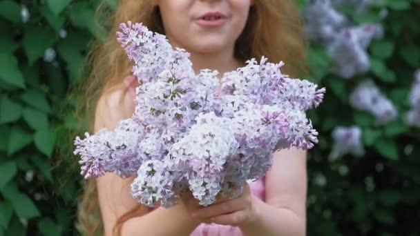 A little girl outdoors in a park or garden holds lilac flowers. Lilac bushes in the background. Summer, park — Stock Video