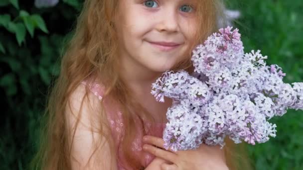 Ein kleines Mädchen in einem Park oder Garten hält fliederfarbene Blumen in der Hand. Fliederbüsche im Hintergrund. Sommer, Park — Stockvideo