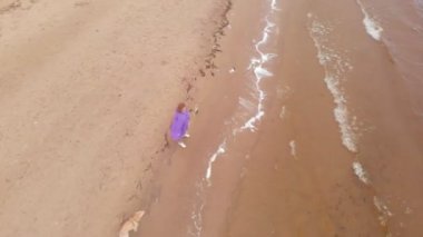 Nehrin kıyısındaki sahilde köpeği olan genç bir kadın. Hava görüntüsü