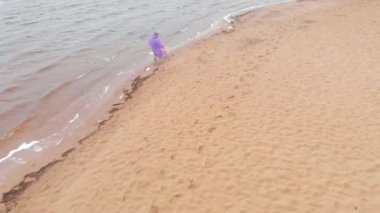 Nehrin kıyısındaki sahilde köpeği olan genç bir kadın. Hava görüntüsü