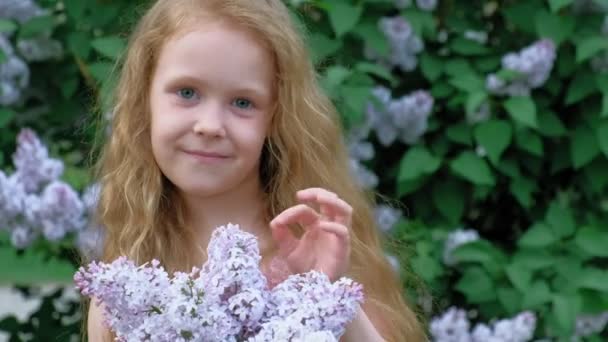 A little girl outdoors in a park or garden holds lilac flowers. Lilac bushes in the background. Summer, park — Stock Video