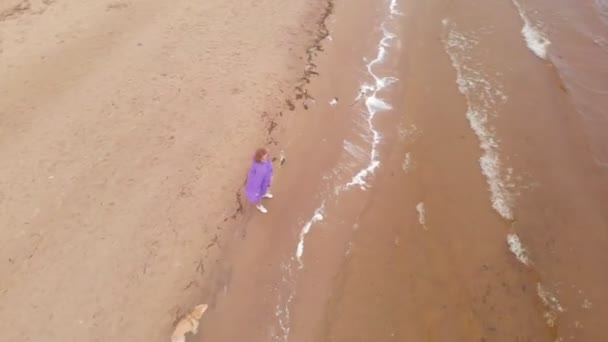 Mujer joven con un perro en la playa junto al río. Disparo aéreo — Vídeo de stock