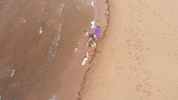 Mujer joven con un perro en la playa junto al río. Disparo aéreo — Vídeos de Stock