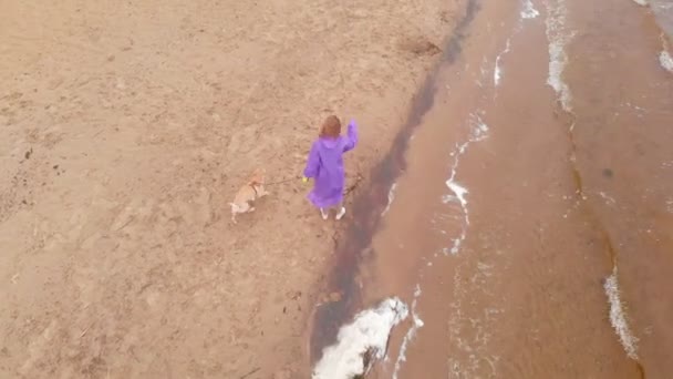 Young woman with a dog on the beach by the river. Aerial shot — ストック動画