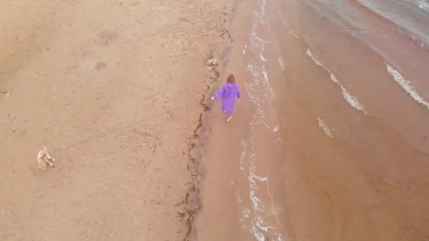 Young woman with a dog on the beach by the river. Aerial shot — ストック動画