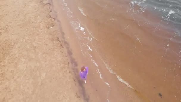 Mujer joven con un perro en la playa junto al río. Disparo aéreo — Vídeo de stock