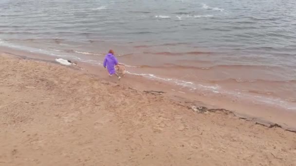 Ung kvinna med hund på stranden vid floden. Flygskott — Stockvideo
