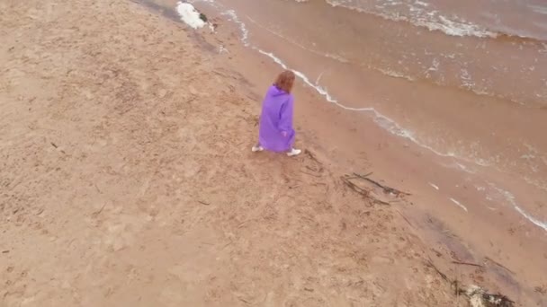 Young woman with a dog on the beach by the river. Aerial shot — ストック動画