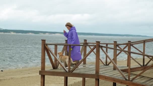 Young woman with a dog on the beach by the river — Stock Video