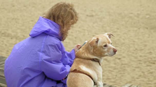 Jonge vrouw met een hond op het strand bij de rivier — Stockvideo