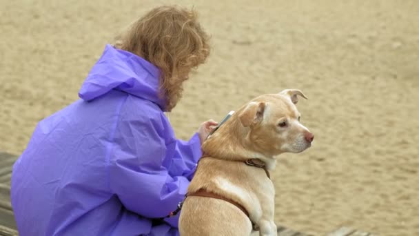 Young woman with a dog on the beach by the river — Stock Video