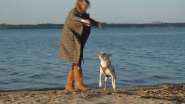 Genç bir kadın koşmak, nehrin kıyısında sahilde kahverengi bir köpek labrador ile oynamak. Bahar.