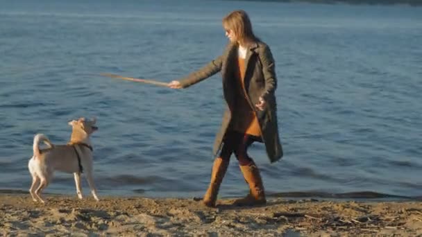 Genç bir kadın koşmak, nehrin kıyısında sahilde kahverengi bir köpek labrador ile oynamak. Bahar. — Stok video