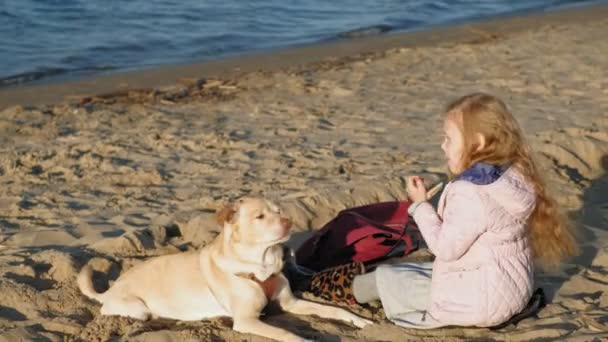 Niña niña preescolar en la playa alimenta al perro. Primavera — Vídeos de Stock