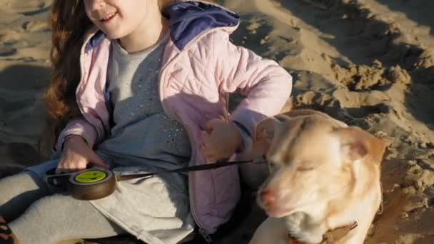 Niña niña preescolar en la playa alimenta al perro. Primavera — Vídeos de Stock