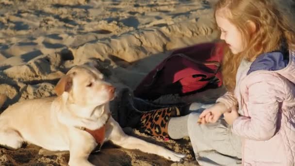 Niña niña preescolar en la playa alimenta al perro. Primavera — Vídeos de Stock