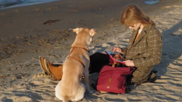 Nehir kıyısındaki sahilde genç bir kadın bilgisayar tableti kullanıyor ve kahverengi bir lobrodor köpeği besliyor. İlkbahar veya soğuk yaz — Stok video