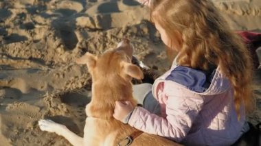 Sahilde kız okul öncesi kız köpek besler. Bahar