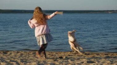 Kız okul öncesi kız sahilde kahverengi bir labrador köpek ile oynuyor. İlkbahar veya soğuk yaz