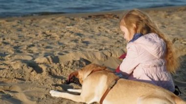 Sahilde kız okul öncesi kız köpek besler. Bahar