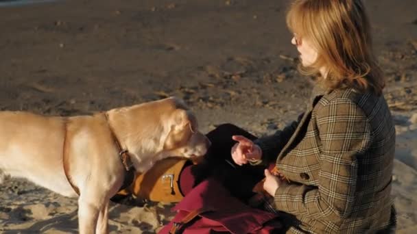 Eine junge Frau am Strand am Fluss, füttert einen braunen Hund, lobrodor. Frühling oder kalter Sommer — Stockvideo