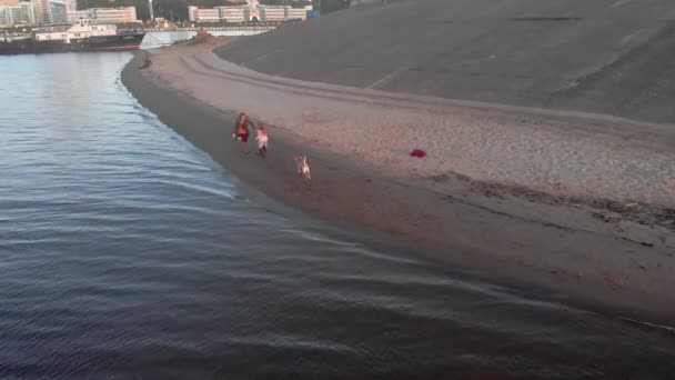 Anne ve kızı, koşmak, nehir kıyısında sahilde kahverengi bir köpek labrador ile oynamak. Havadan çekim — Stok video
