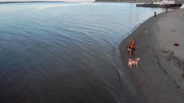 Anne ve kızı, koşmak, nehir kıyısında sahilde kahverengi bir köpek labrador ile oynamak. Havadan çekim — Stok video