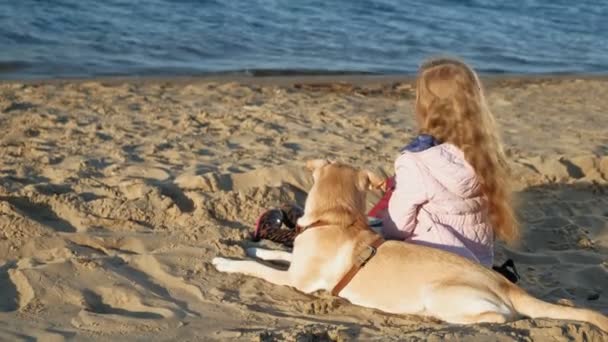 Flicka förskola flicka på stranden matar hunden. Våren — Stockvideo