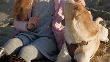 Sahilde kız okul öncesi kız köpek besler. Bahar