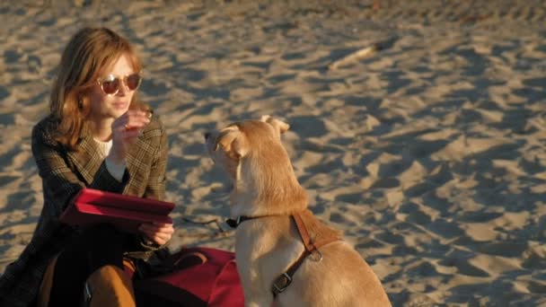 Une jeune femme sur la plage près de la rivière utilise une tablette informatique et nourrit un chien lobrodor brun. Printemps ou été froid — Video