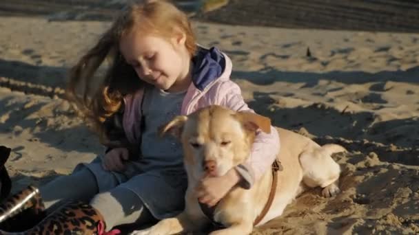 Mädchen im Vorschulalter am Strand füttert den Hund. Frühling — Stockvideo