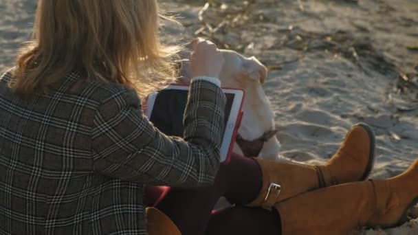 Молодая женщина на пляже у реки использует планшет и кормит коричневого пса. Весна или холодное лето — стоковое видео