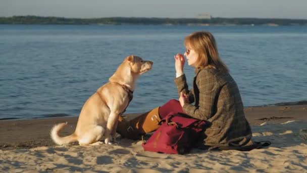 Une jeune femme sur la plage près de la rivière nourrit un chien brun, Lobrodor. Printemps ou été froid — Video