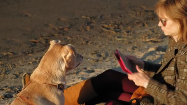 Nehir kıyısındaki sahilde genç bir kadın bilgisayar tableti kullanıyor ve kahverengi bir lobrodor köpeği besliyor. İlkbahar veya soğuk yaz — Stok video
