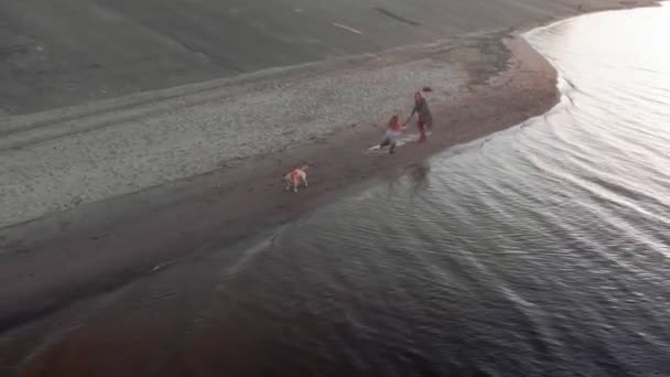 Mamá e hija, corran, jueguen con un perro labrador marrón en la playa junto al río. Filmación aérea — Vídeos de Stock