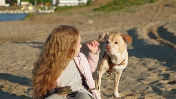 Mädchen im Vorschulalter am Strand füttert den Hund. Frühling — Stockvideo